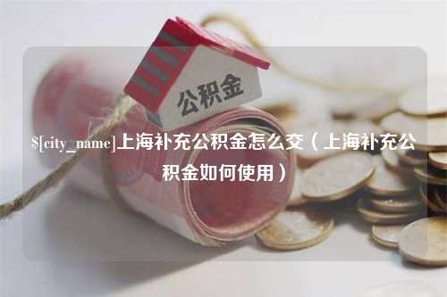 莱州上海补充公积金怎么交（上海补充公积金如何使用）